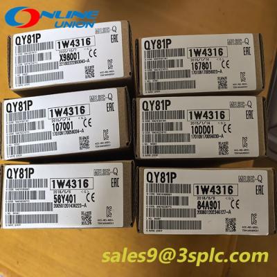 QY81P 1W4316